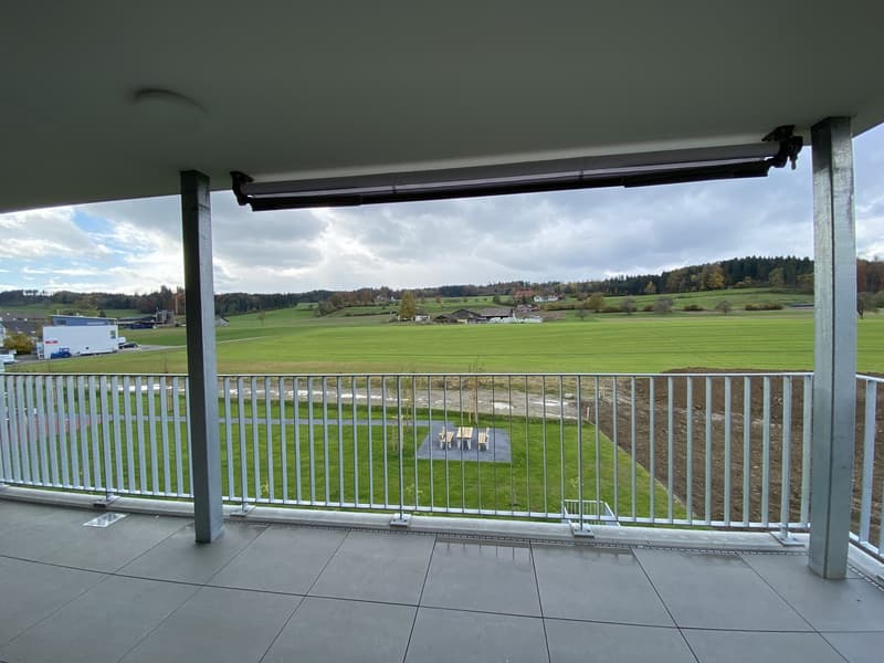 4.5-Zimmer-Wohnung mit traumhafter Aussicht ins Grüne (7)