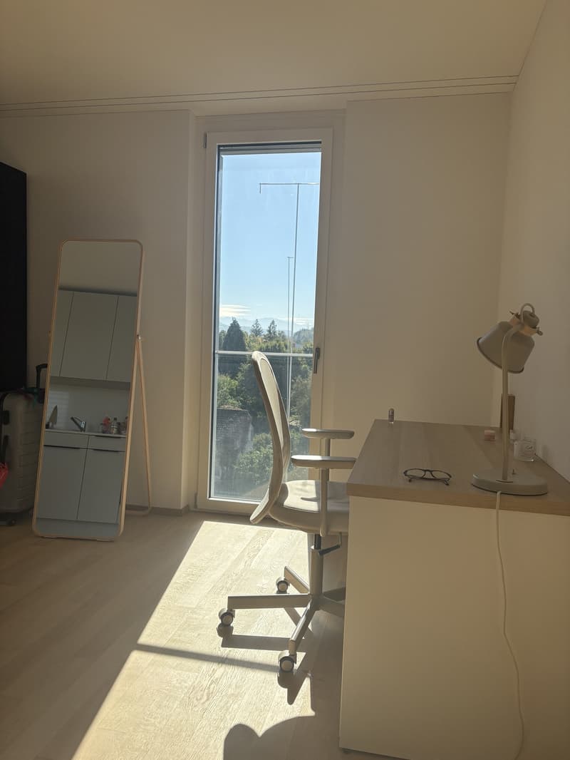 Einzimmerwohnung Zum Vermieten (6)