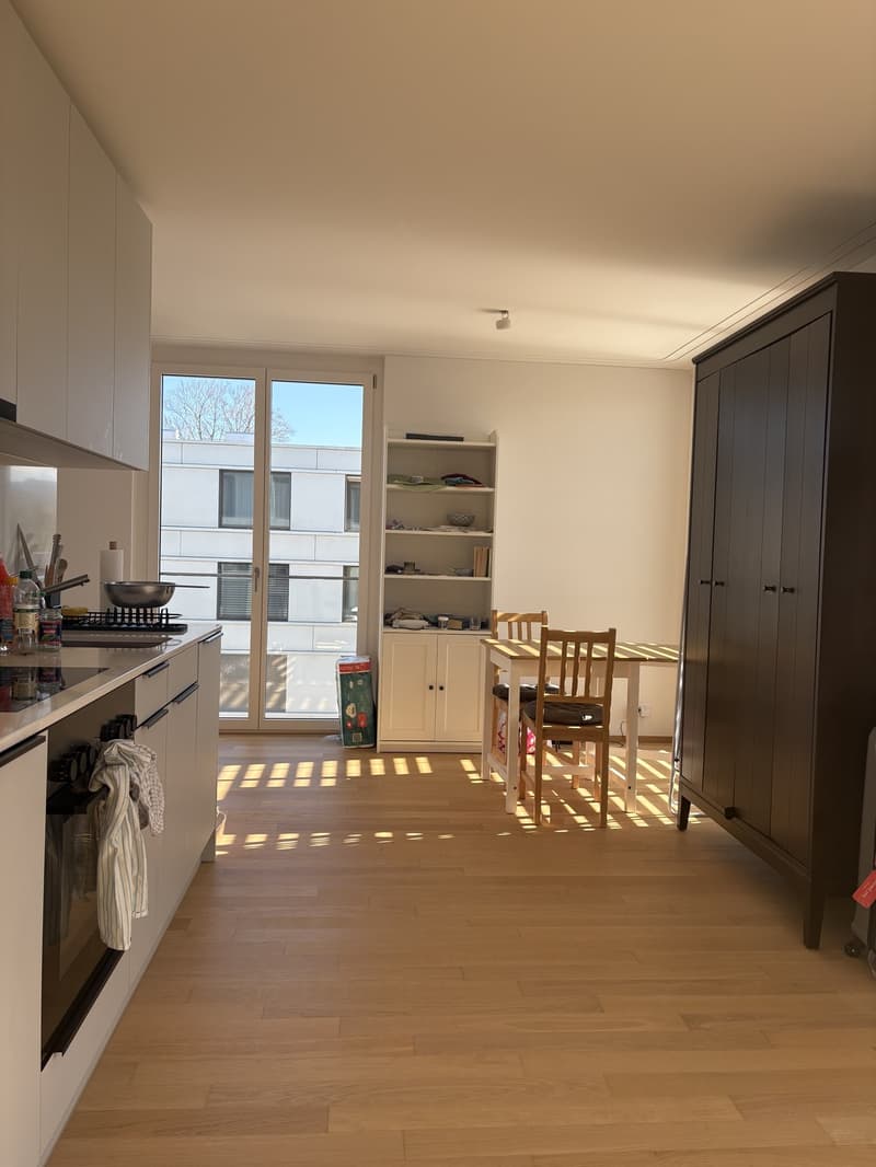 Einzimmerwohnung Zum Vermieten (1)