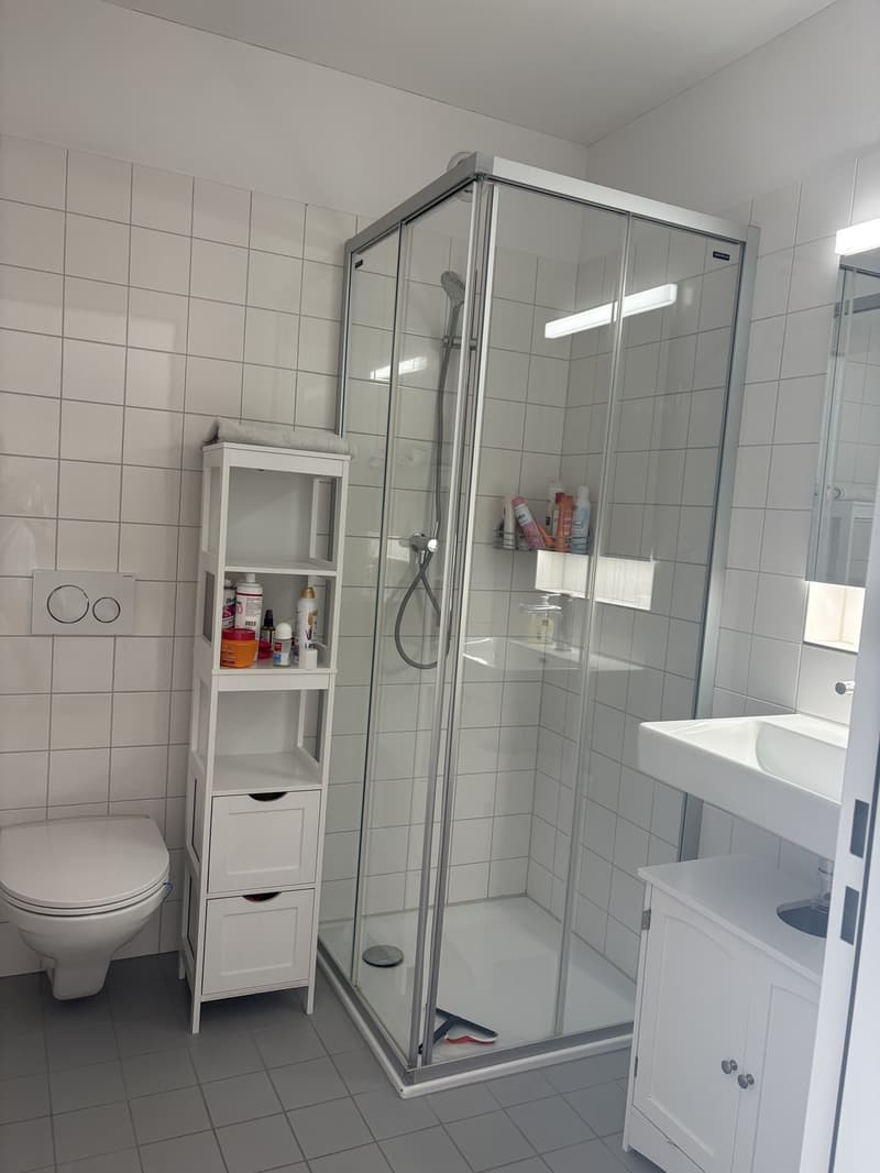 Einzimmerwohnung Zum Vermieten (4)