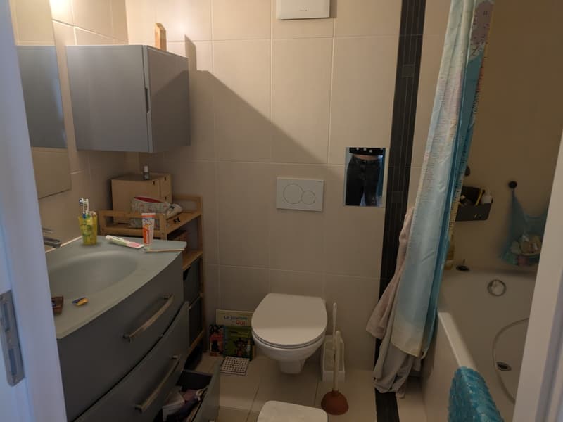 Bel appartement lumineux au cur de Villeneuve (3)