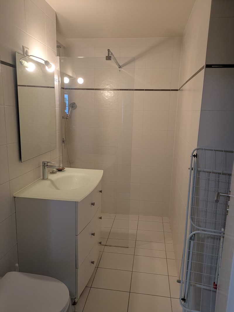 Bel appartement lumineux au cur de Villeneuve (4)