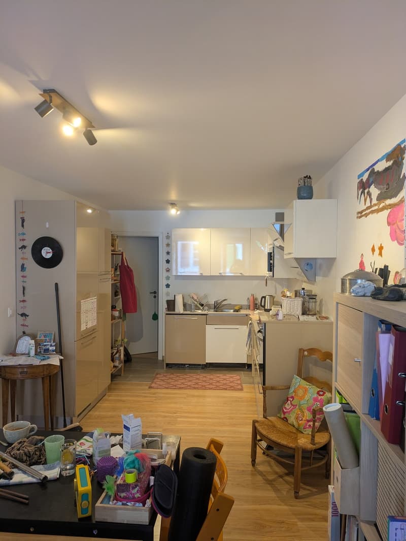 Bel appartement lumineux au cur de Villeneuve (6)