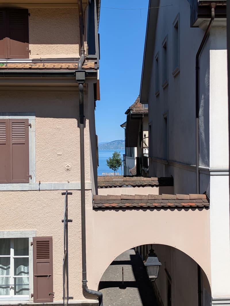 Bel appartement lumineux au cur de Villeneuve (2)