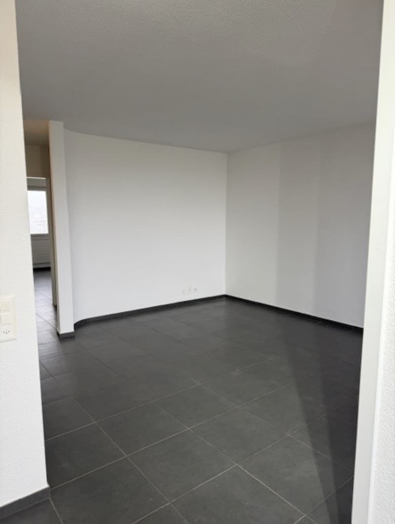 Ruhige 2-Zimmer-Wohnung mit Balkon und wunderschöner Aaresicht in Port (3)