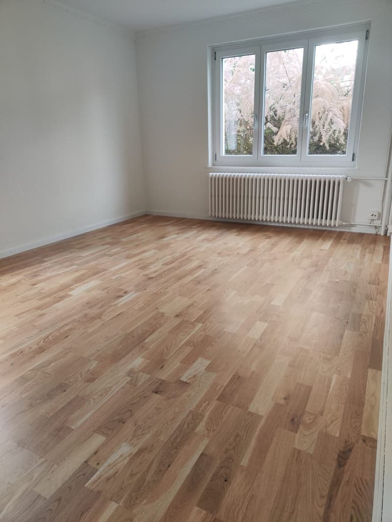 Charmante 3 Zimmerwohnung nähe Flughafen und Zürich City (6)