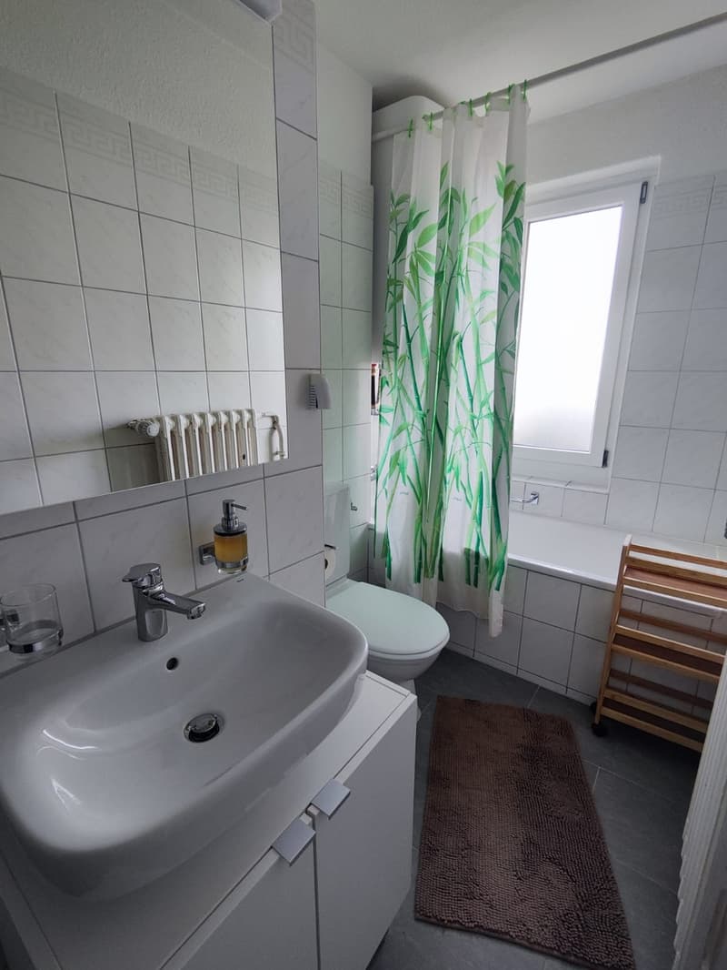 Charmante 3 Zimmerwohnung nähe Flughafen und Zürich City (2)