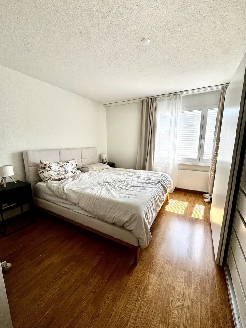For rent 3.5 zimmer apartment - pets available (6)