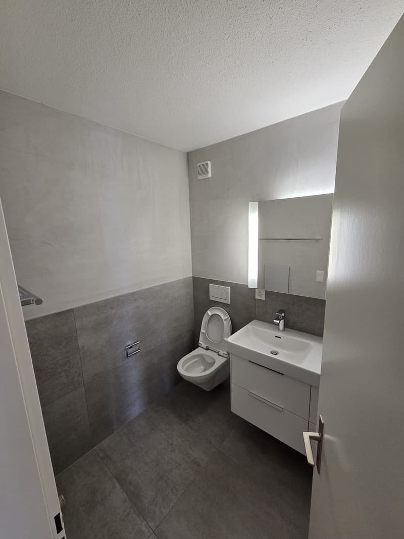 For rent 3.5 zimmer apartment - pets available (8)