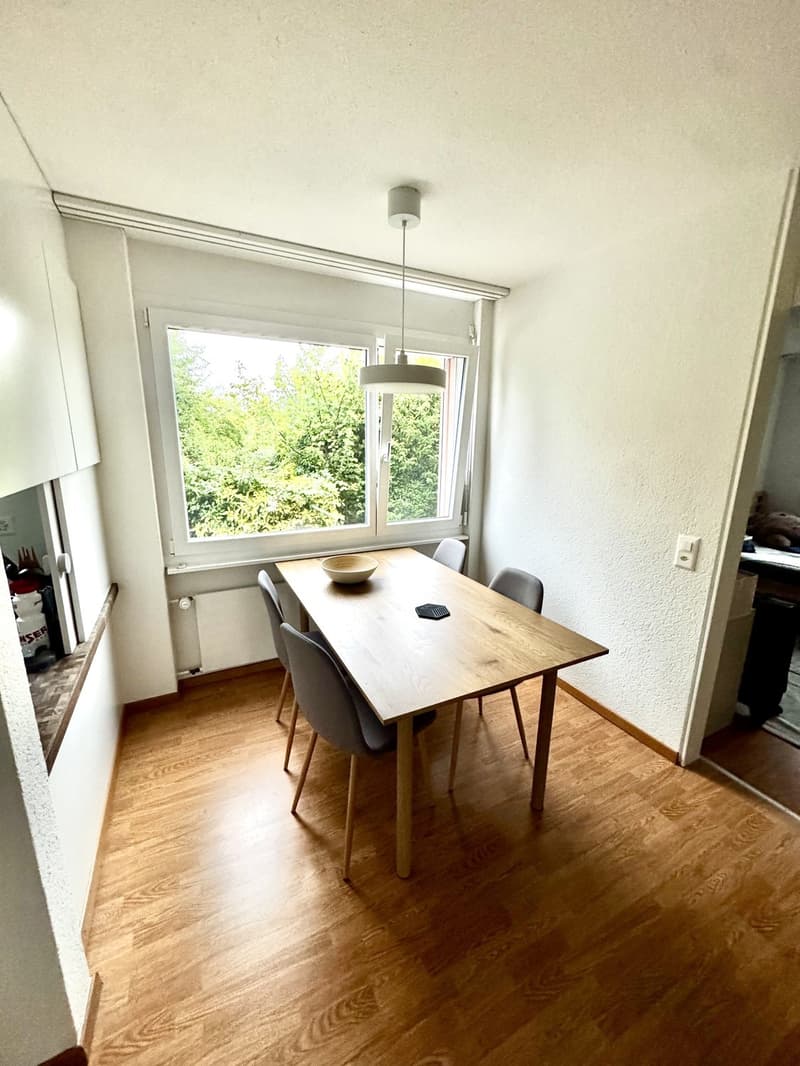 For rent 3.5 zimmer apartment - pets available (4)