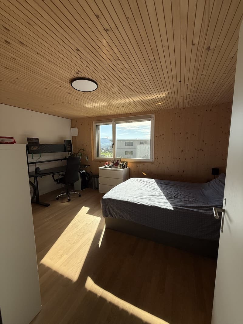 3.5-Zimmer-Wohnung mit traumhafter Bergsicht (8)