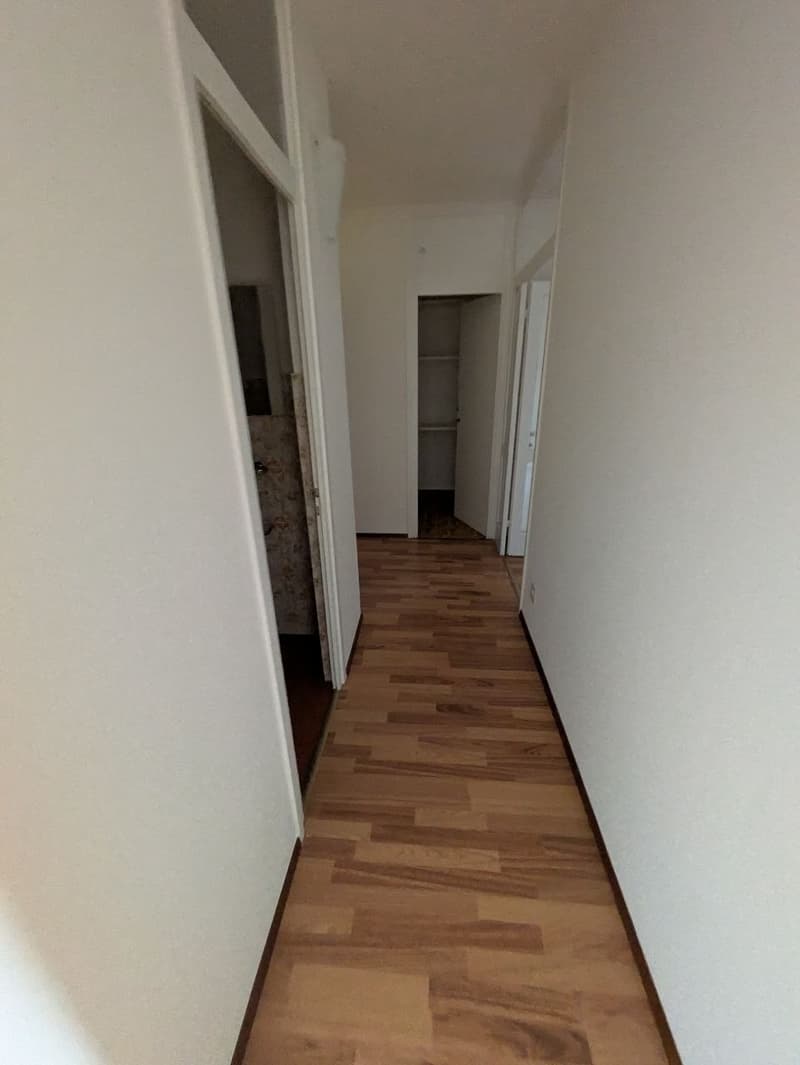 Appartamento 2.5 a Massagno (3)