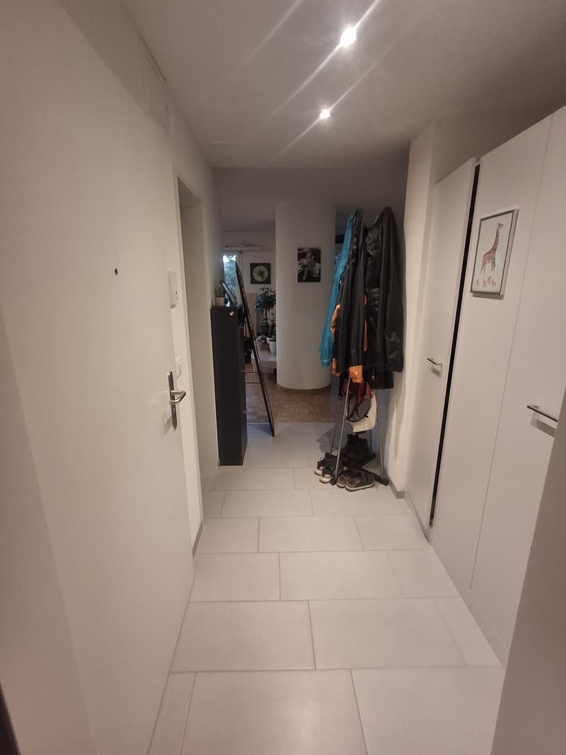 2.5 Zimmer Wohnung, Höllbündtenstrasse 24 in 8964 Rudolfstetten (9)