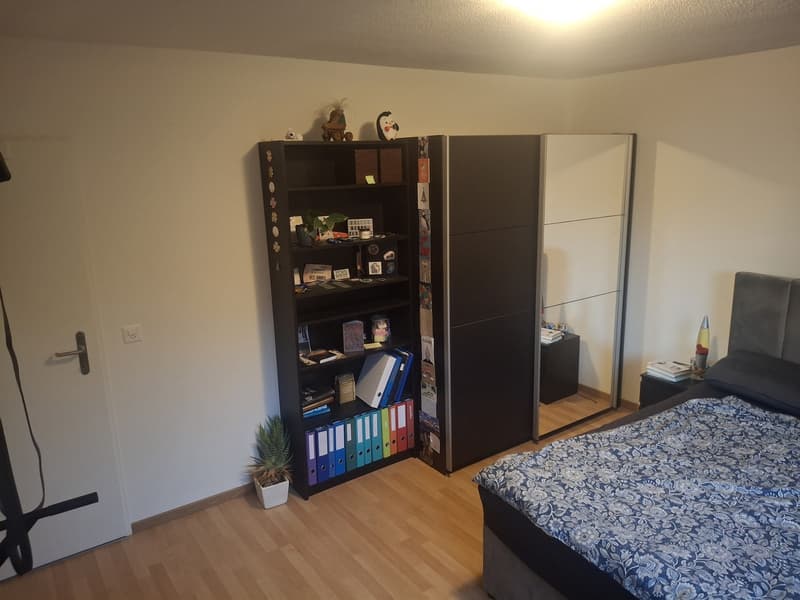 2.5 Zimmer Wohnung, Höllbündtenstrasse 24 in 8964 Rudolfstetten (8)
