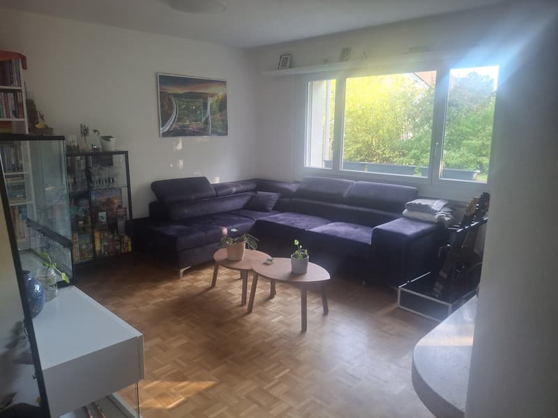 2.5 Zimmer Wohnung, Höllbündtenstrasse 24 in 8964 Rudolfstetten (3)