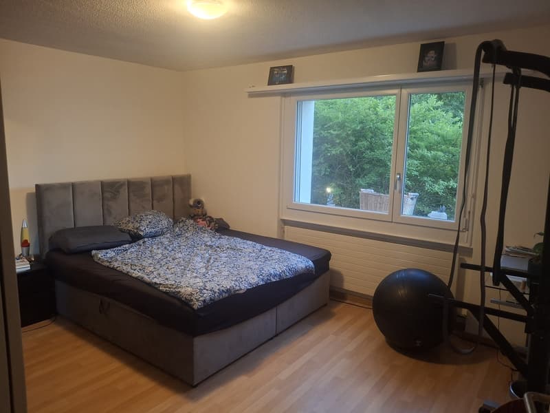2.5 Zimmer Wohnung, Höllbündtenstrasse 24 in 8964 Rudolfstetten (7)