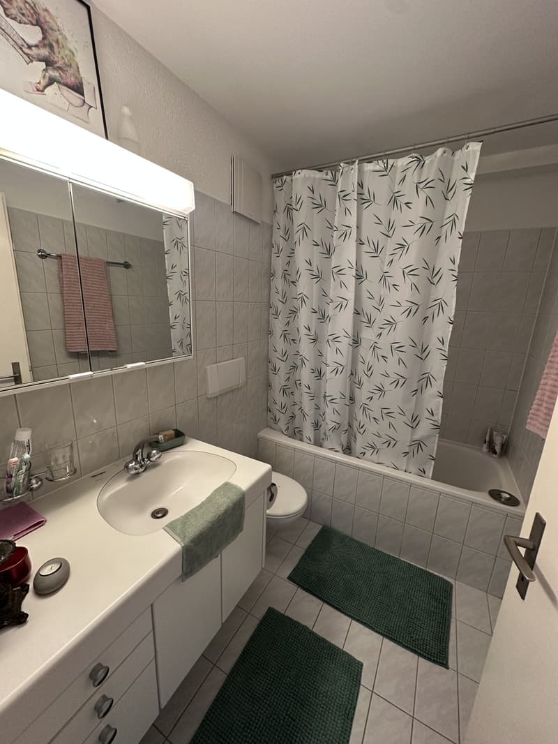 Room in Shared Flat Zürich Kreis 4 (7)