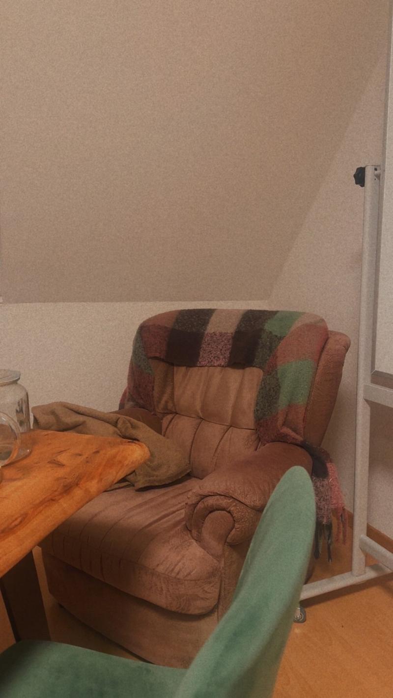 Room in Shared Flat Zürich Kreis 4 (8)