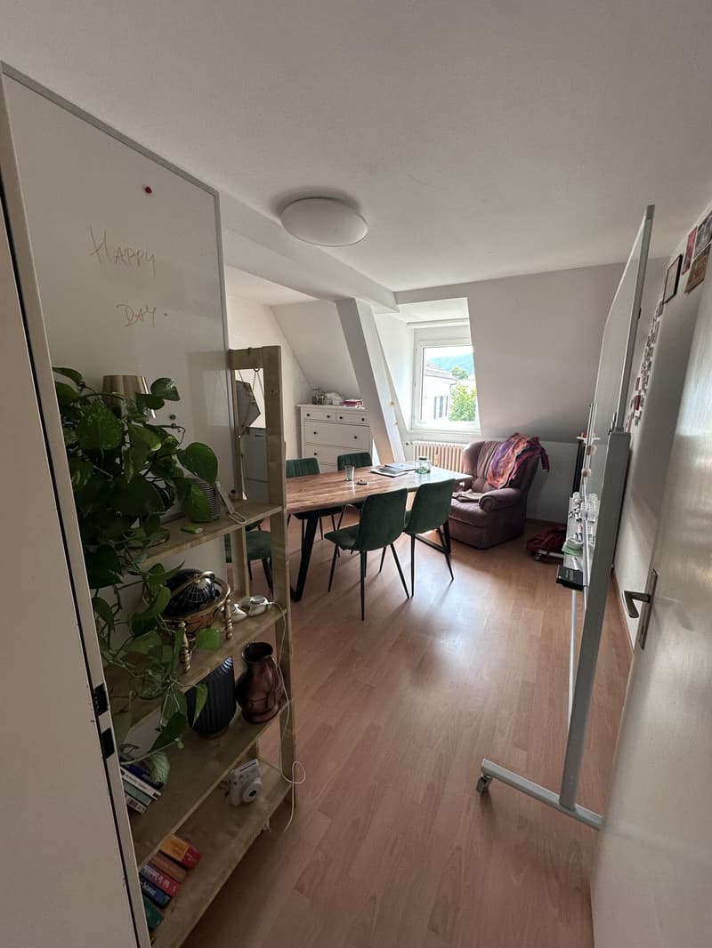 Room in Shared Flat Zürich Kreis 4 (1)