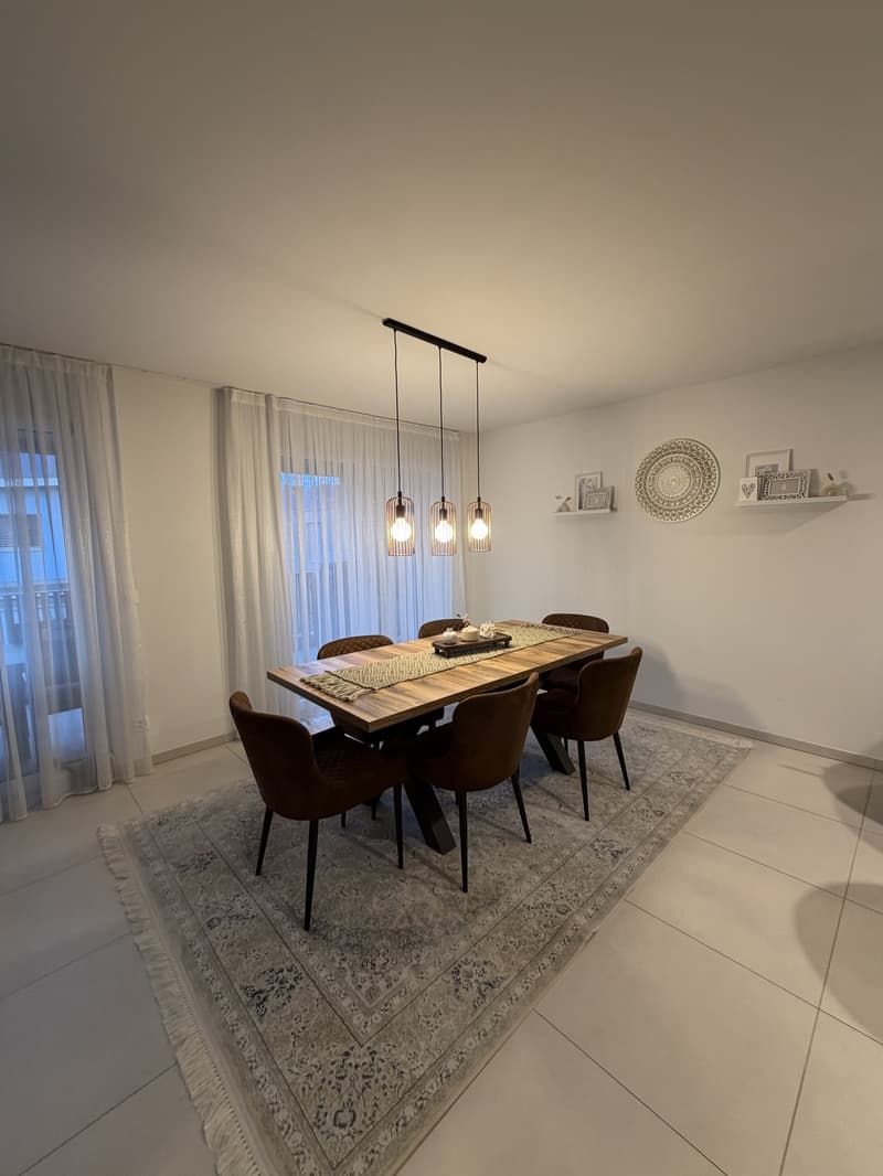 Helle grosse 3.5 Zimmer Wohnung (3)