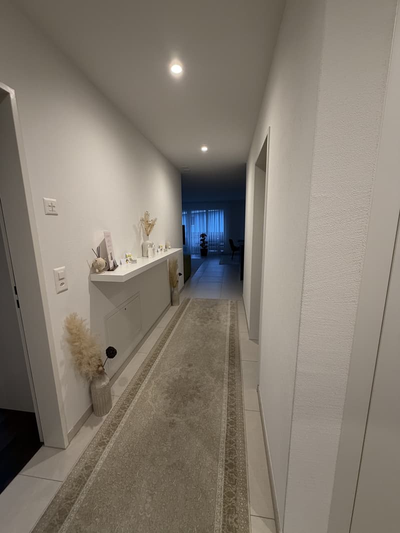 Helle grosse 3.5 Zimmer Wohnung (8)