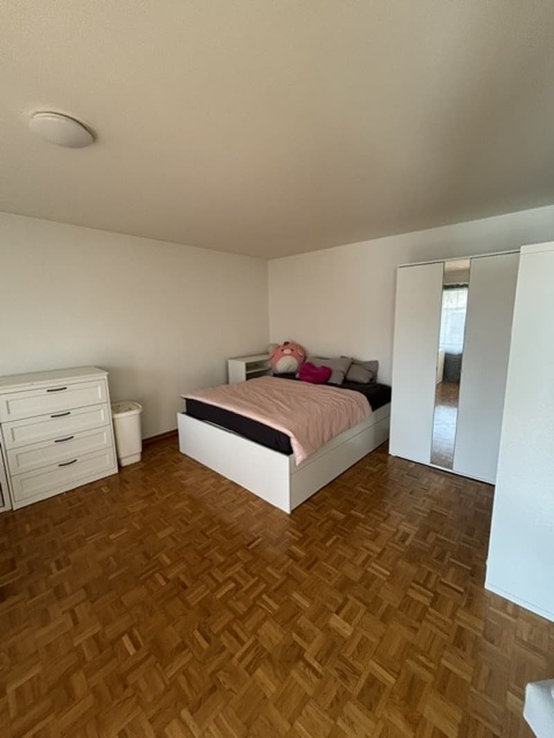 1.5-Zimmer-Wohnung in Adliswil (5)