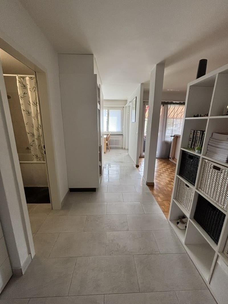 1.5-Zimmer-Wohnung in Adliswil (4)
