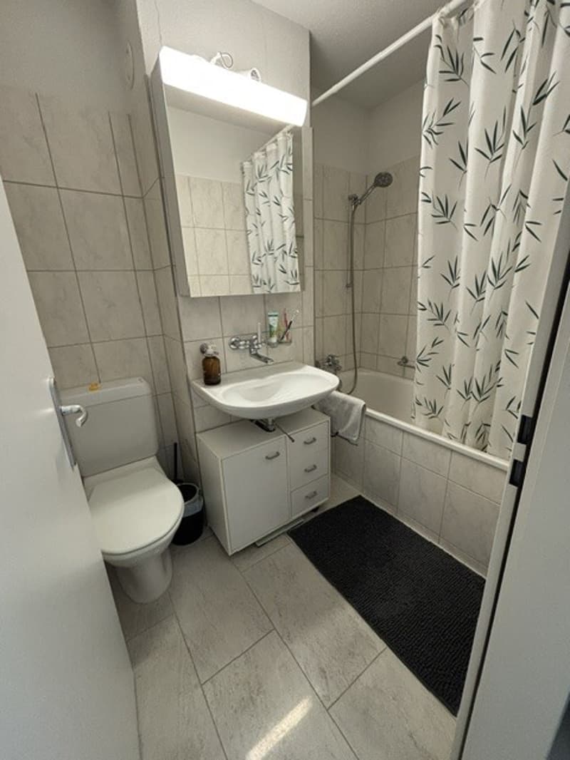 1.5-Zimmer-Wohnung in Adliswil (7)