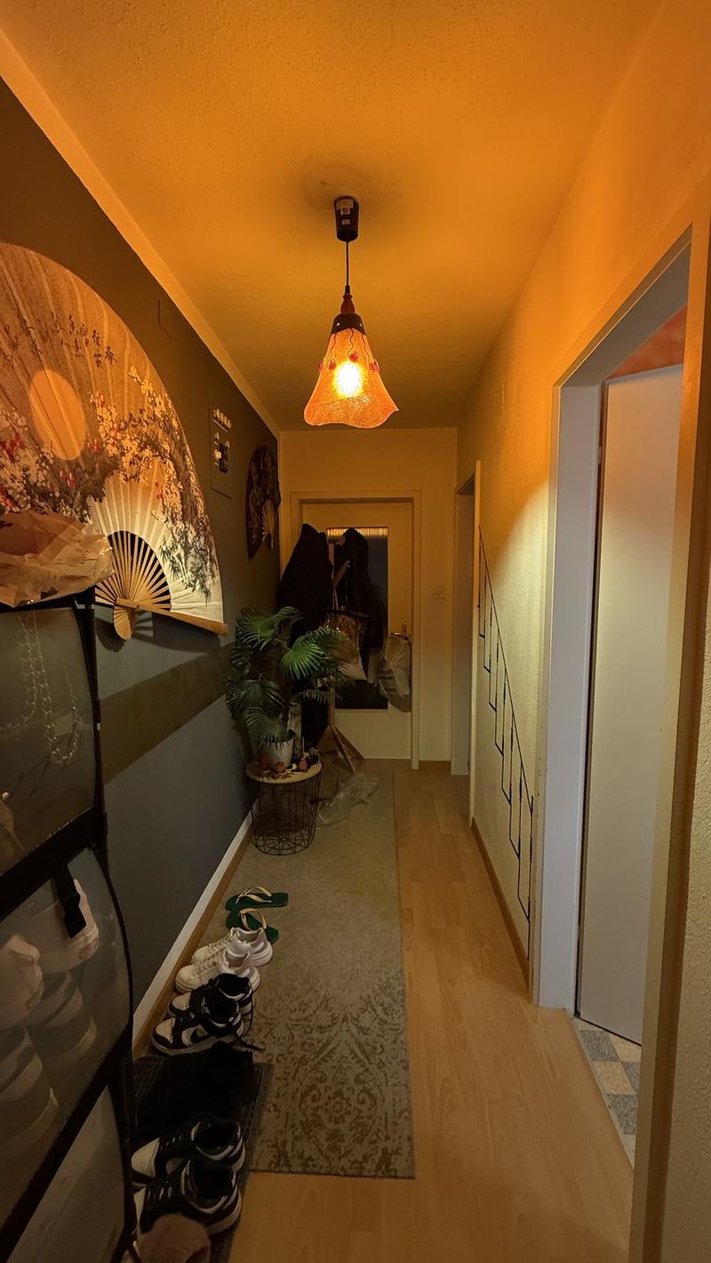 Helle und möblierte 1.5-Zimmer-Wohnung in Winterthur-Wülflingen zur Untermiete (3)