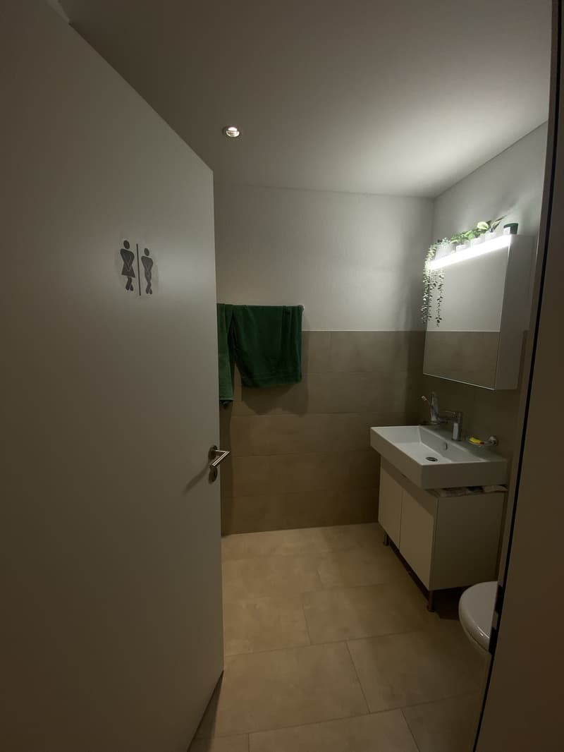 2 ½ Zimmer-Wohnung, 4710 Balsthal (1)