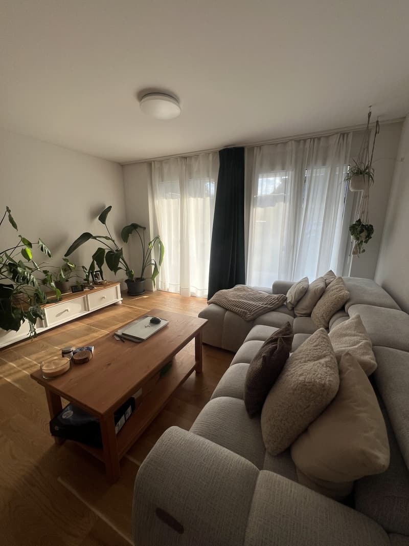 2 ½ Zimmer-Wohnung, 4710 Balsthal (4)