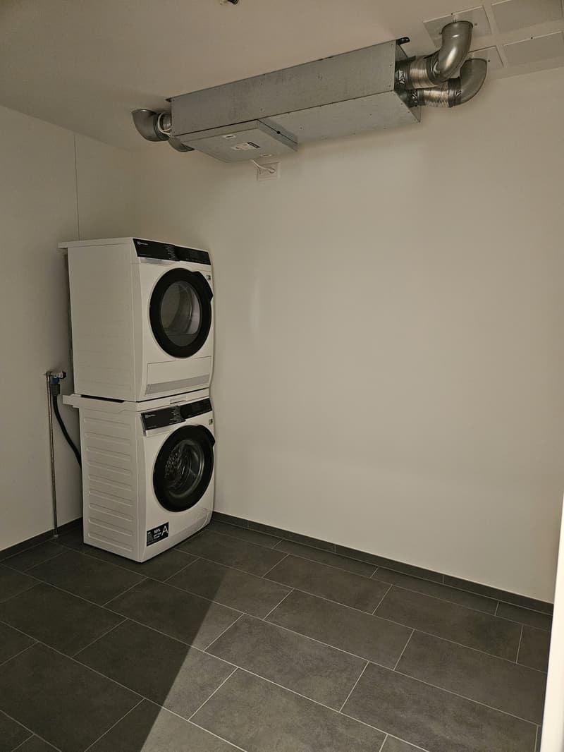 Moderne 4.5-Zimmer-Neubauwohnung mit grosser Loggia und Garten (9)