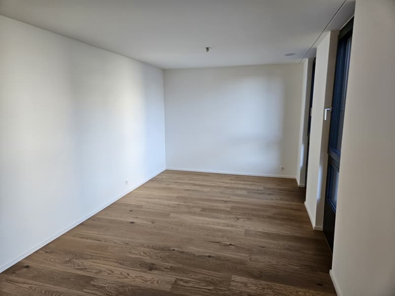 Moderne 4.5-Zimmer-Neubauwohnung mit grosser Loggia und Garten (10)