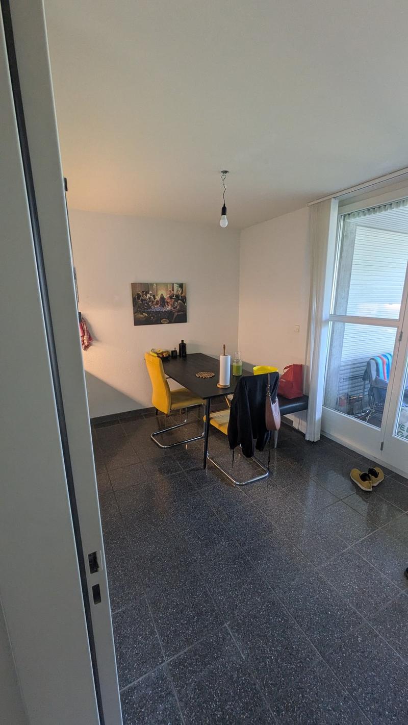Wunderschöne und top-gelegene Wohnung für Einzelperson in Albisrieden (5)
