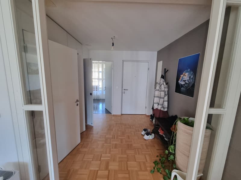 Wunderschöne und top-gelegene Wohnung für Einzelperson in Albisrieden (3)