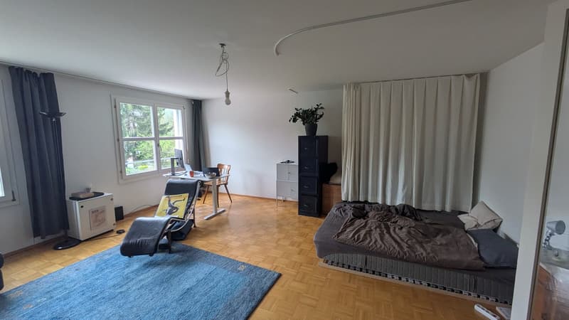 Wunderschöne und top-gelegene Wohnung für Einzelperson in Albisrieden (2)