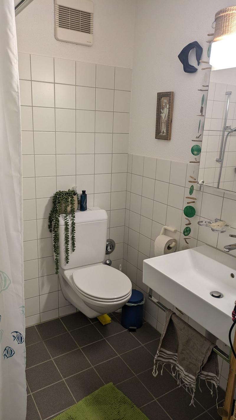 Wunderschöne und top-gelegene Wohnung für Einzelperson in Albisrieden (6)