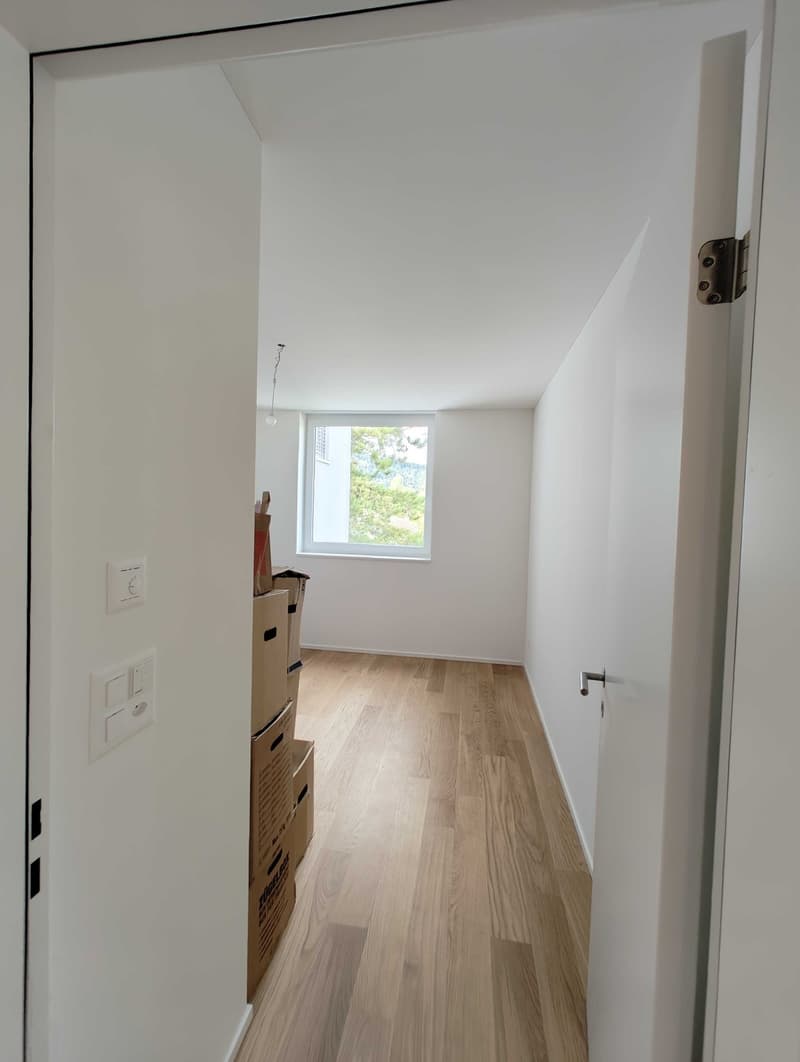 4 ½ Zimmer-Wohnung, 8134 Adliswil (8)