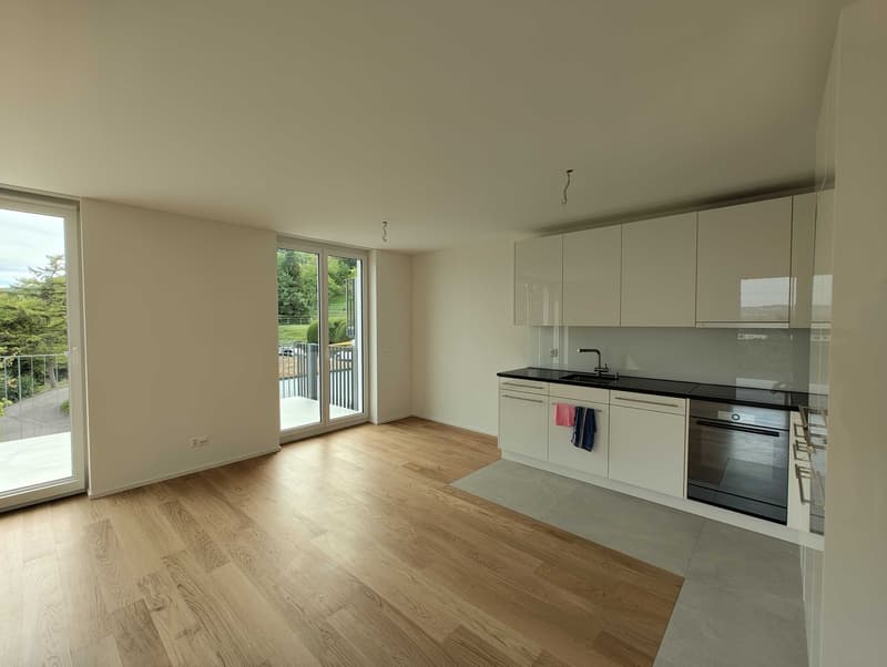 4 ½ Zimmer-Wohnung, 8134 Adliswil (4)
