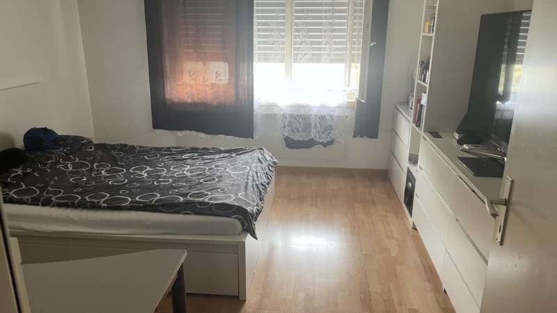 Schöne 4.5-Zimmer-Wohnung mit Garage  Nachmieter gesucht (9)