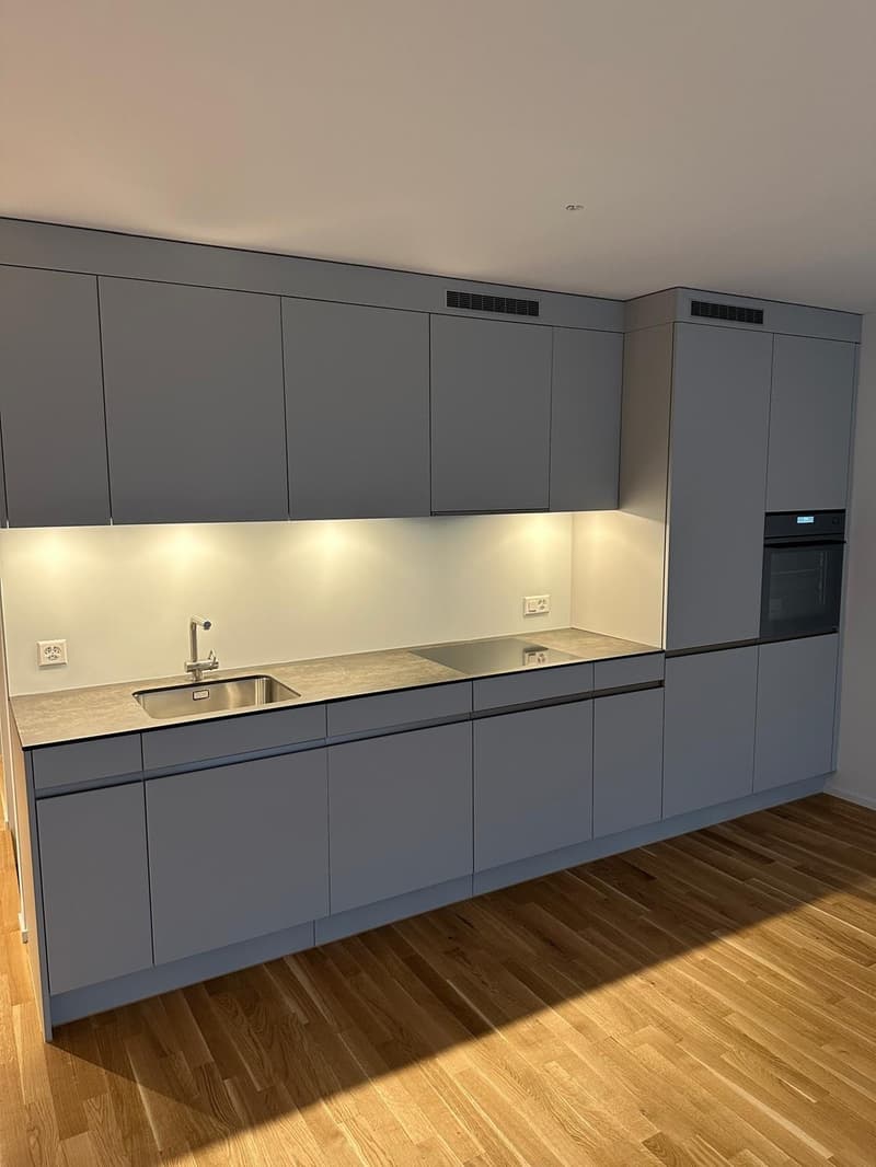 Exklusive 2.5-Zi.-Neubau-Maisonette mit 2 Terrassen & Garderobenzimmer in Zürich-Altstetten (3)