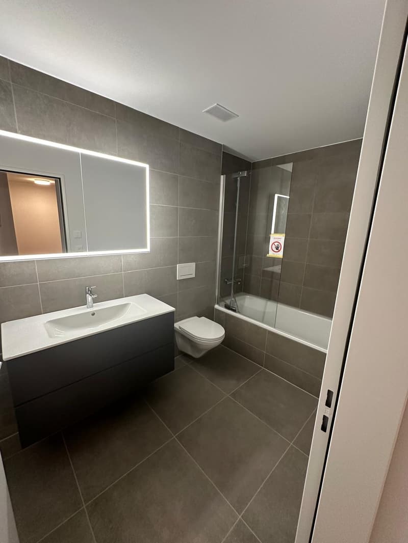 Exklusive 2.5-Zi.-Neubau-Maisonette mit 2 Terrassen & Garderobenzimmer in Zürich-Altstetten (6)