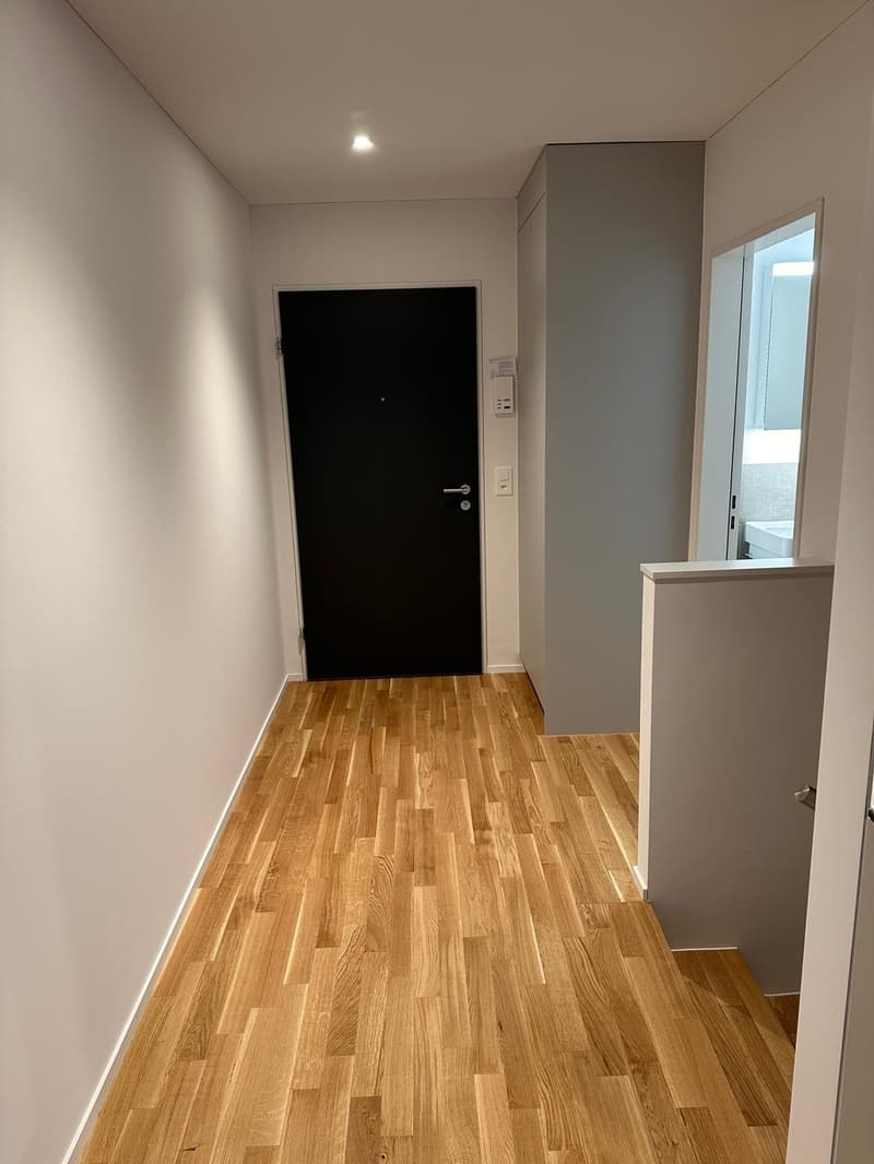 Exklusive 2.5-Zi.-Neubau-Maisonette mit 2 Terrassen & Garderobenzimmer in Zürich-Altstetten (13)