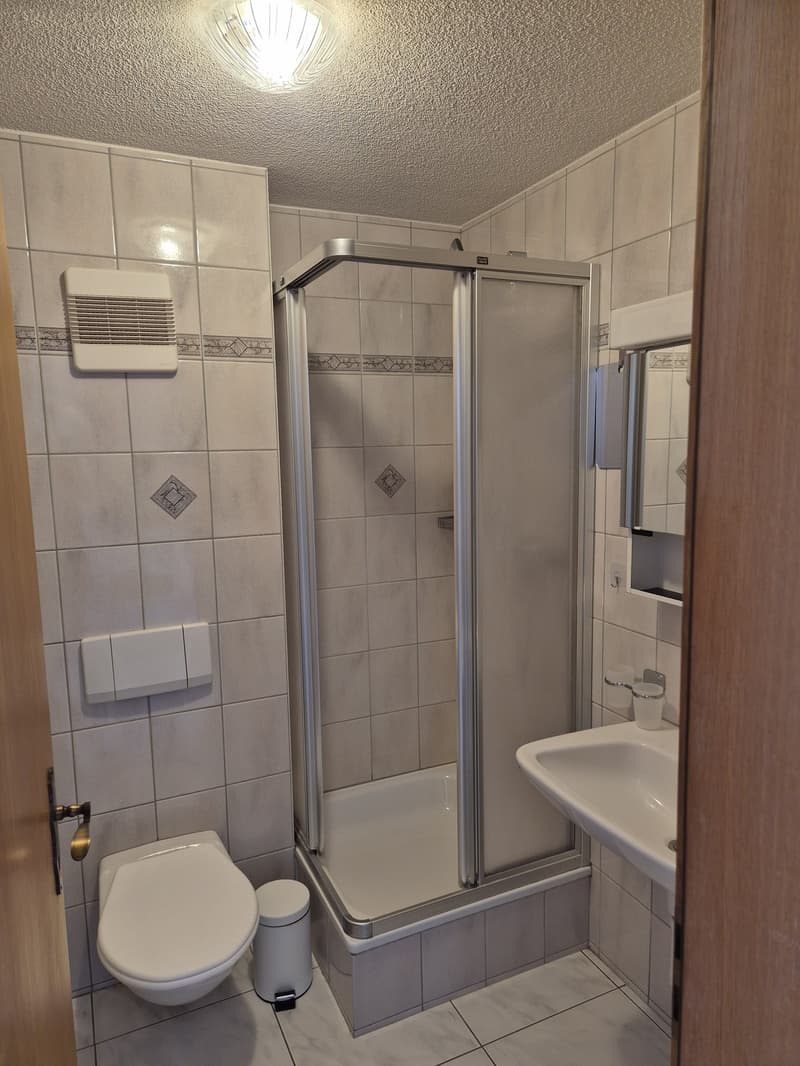 Apartment for Rent in Turtmann - Excellent Location for Lonza Employees (5)