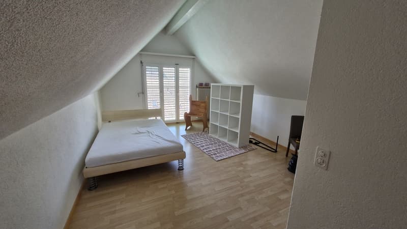 1,5 Zimmer | ca. 34 m² | Dachgeschoss | per 01.11.2026 (1)