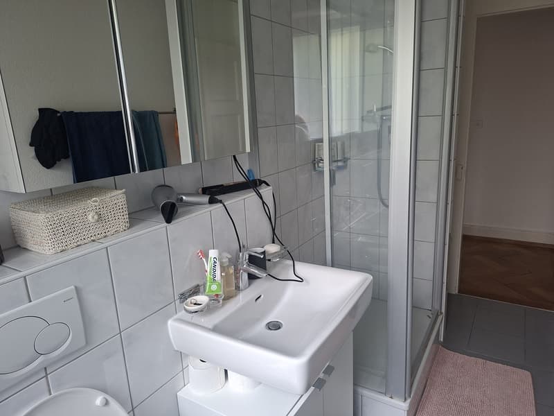 3-Zimmer-Wohnung direkt am Bahnhof Olten (3)