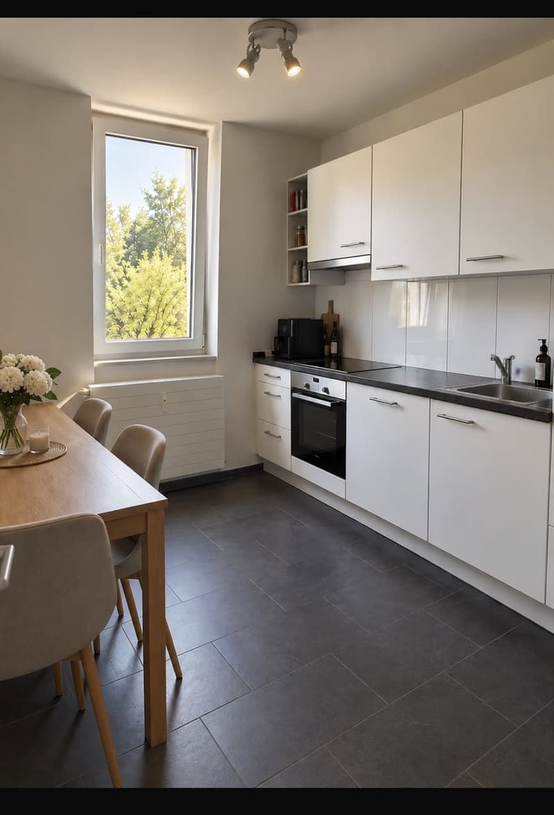 2 Zimmer-Wohnung, 4052 Basel (5)