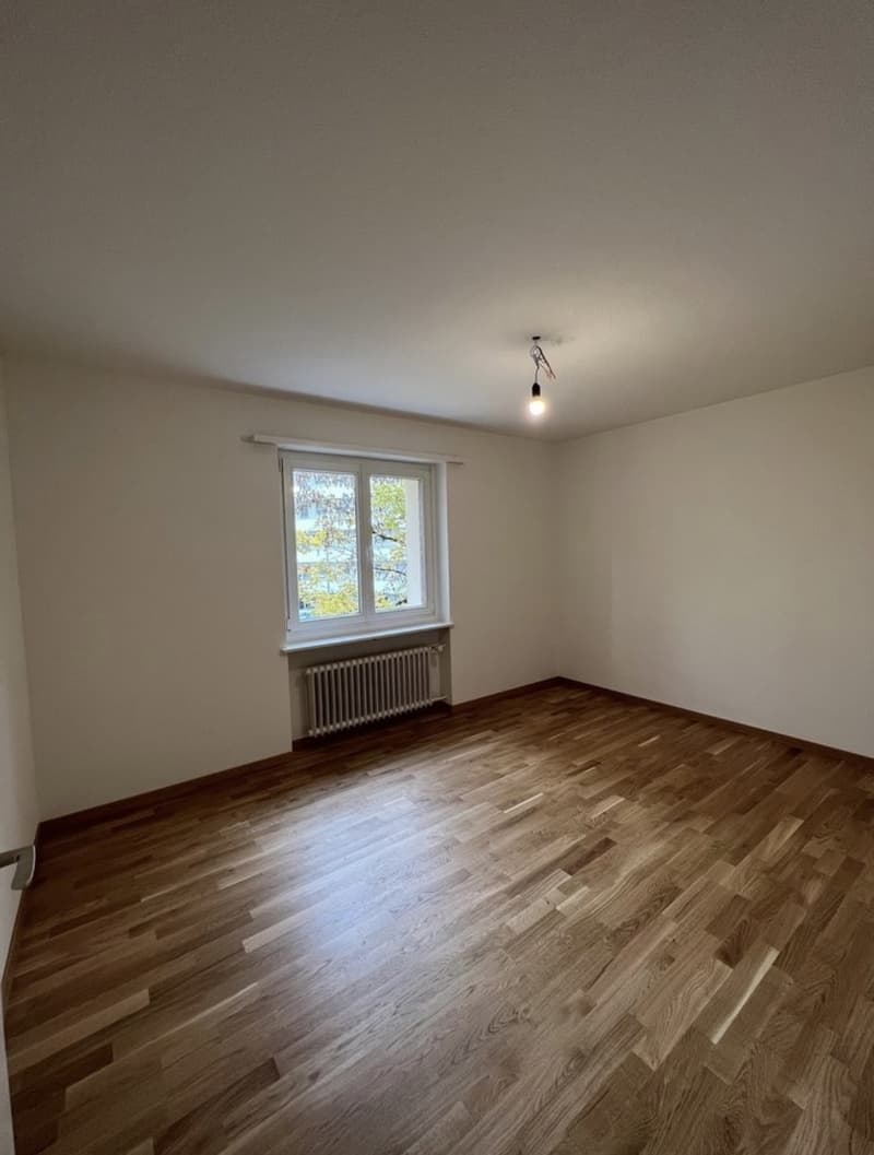 2 freie WG-Zimmer in Seebach (1)