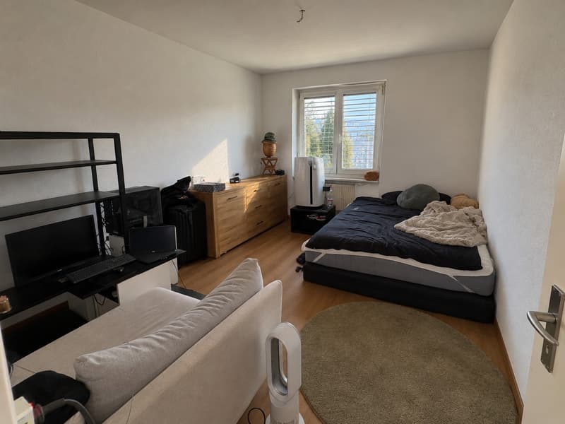 Nachmieter ab sofort gesucht ruhige Wohnung in Bellach (8)
