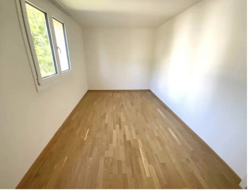 3 Zimmer-Wohnung, 8212 Neuhausen am Rheinfall SH (4)
